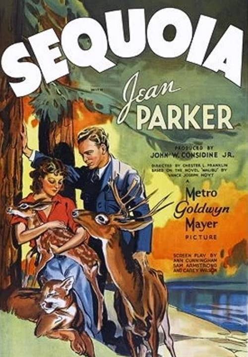 Sequoia - Herrin der Wildnis hdfilme