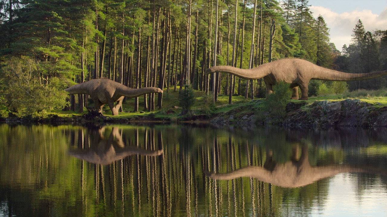 Leben auf unserem Planeten hdfilme