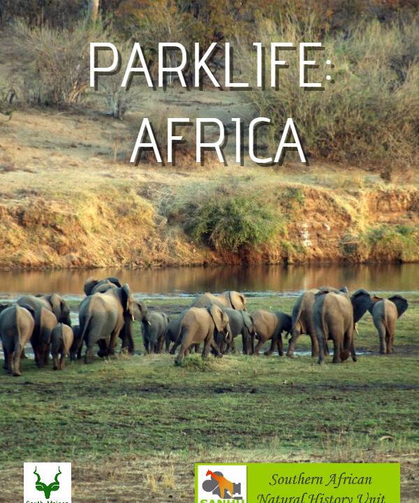 Parklife: Africa hdfilme