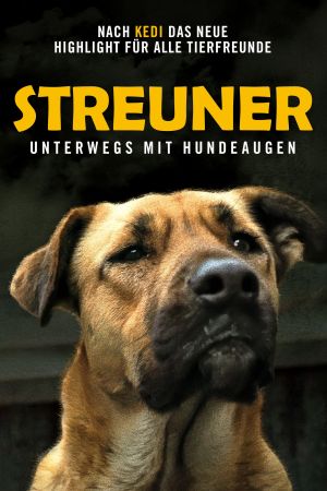 Streuner - Unterwegs mit Hundeaugen poster