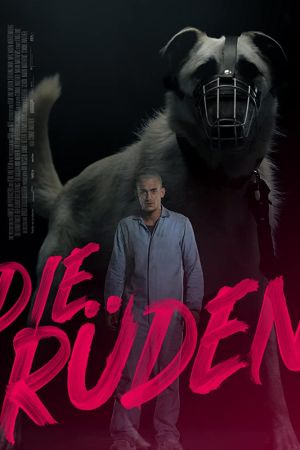 Die Rüden poster