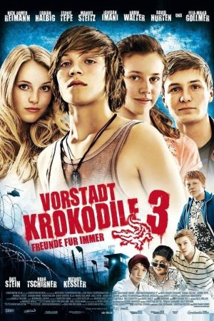 Vorstadtkrokodile 3 poster