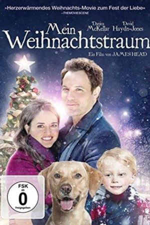 Mein Weihnachtstraum poster