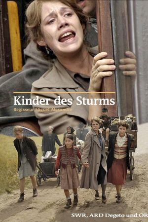 Kinder des Sturms poster