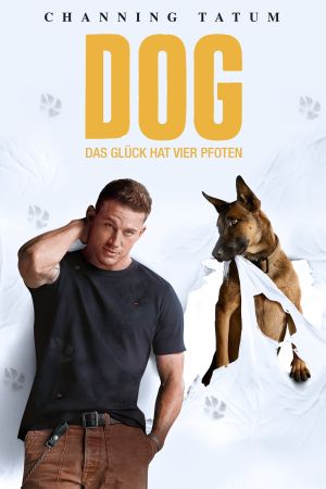 Dog - Das Glück hat vier Pfoten poster