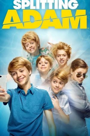 Ein Adam kommt selten allein poster