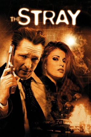 The Stray - Der Racheengel hdfilme stream online