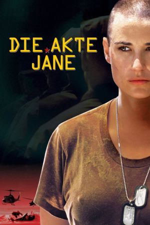 Die Akte Jane poster