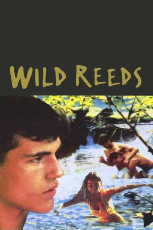 Wilde Herzen hdfilme stream online