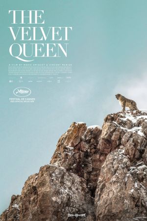 Der Schneeleopard hdfilme stream online