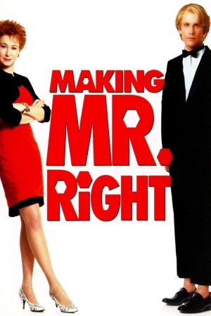 Making Mr. Right - Ein Mann à la Carte poster