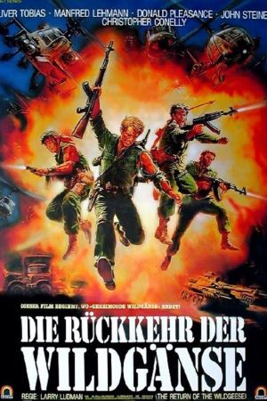Die Rückkehr der Wildgänse poster