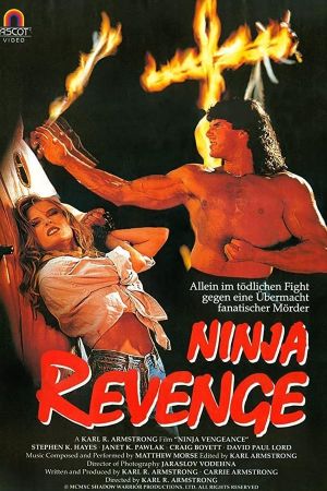 Ninja Vengeance hdfilme stream online