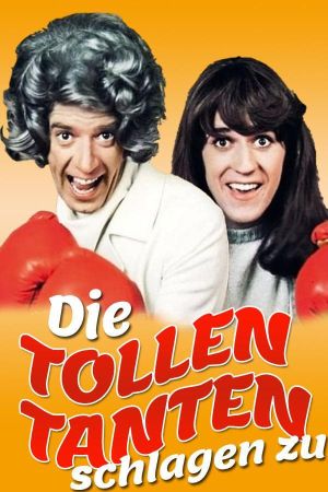 Die tollen Tanten schlagen zu poster