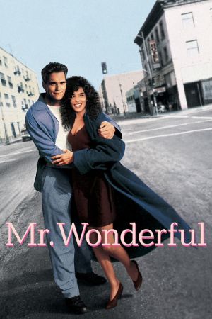 Mr. Wonderful hdfilme stream online