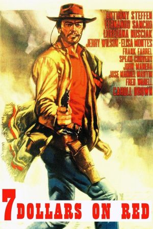 Django - Die Geier stehen Schlange poster