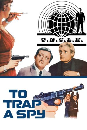 Agent auf Kanal D poster