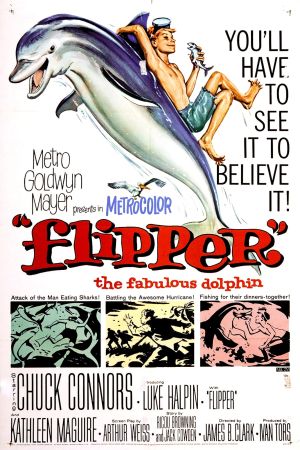 Flipper poster