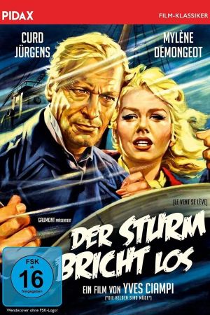 Der Sturm bricht los poster