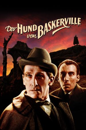 Der Hund von Baskerville poster