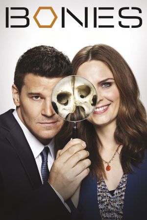 Bones - Die Knochenjägerin poster