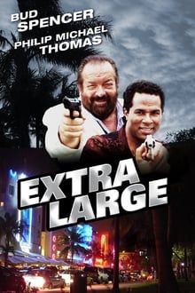 Zwei Supertypen in Miami poster
