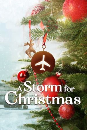 Ein Sturm zu Weihnachten poster