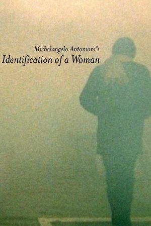 Identifikation einer Frau poster