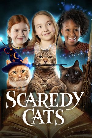 Hexen und Katzen poster