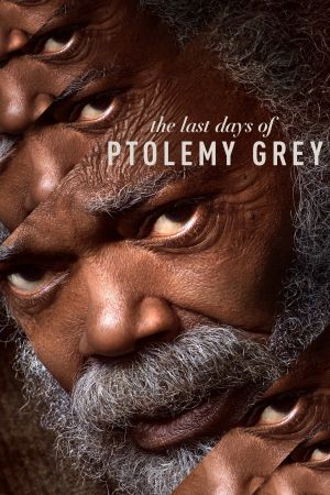 Die letzten Tage des Ptolemy Grey poster