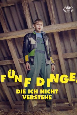 Fünf Dinge, die ich nicht verstehe poster