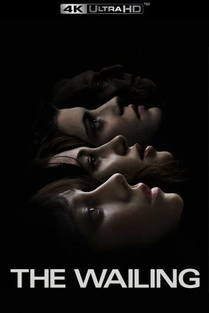 The Wailing - Der Tod hat viele Gesichter poster