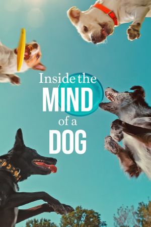 Was Hunde denken poster