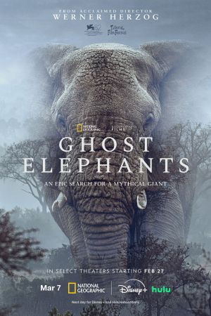Ghost Elephants hdfilme stream online