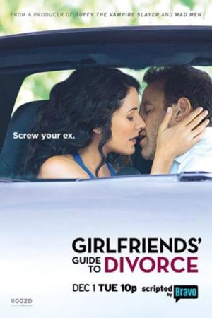 Girlfriends' Guide to Divorce poster