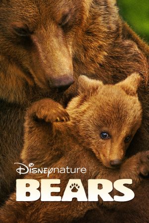 Bären hdfilme stream online