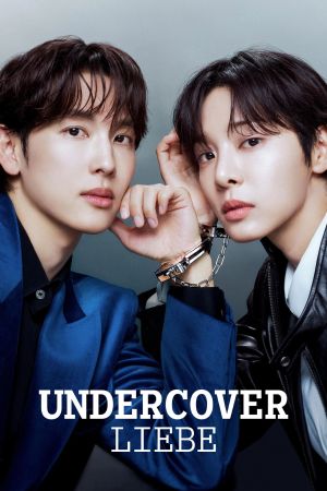 Undercover-Liebe poster